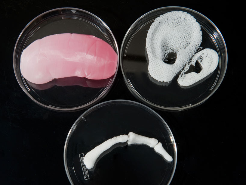 Органы, напечатанные при помощи 3D-принтера